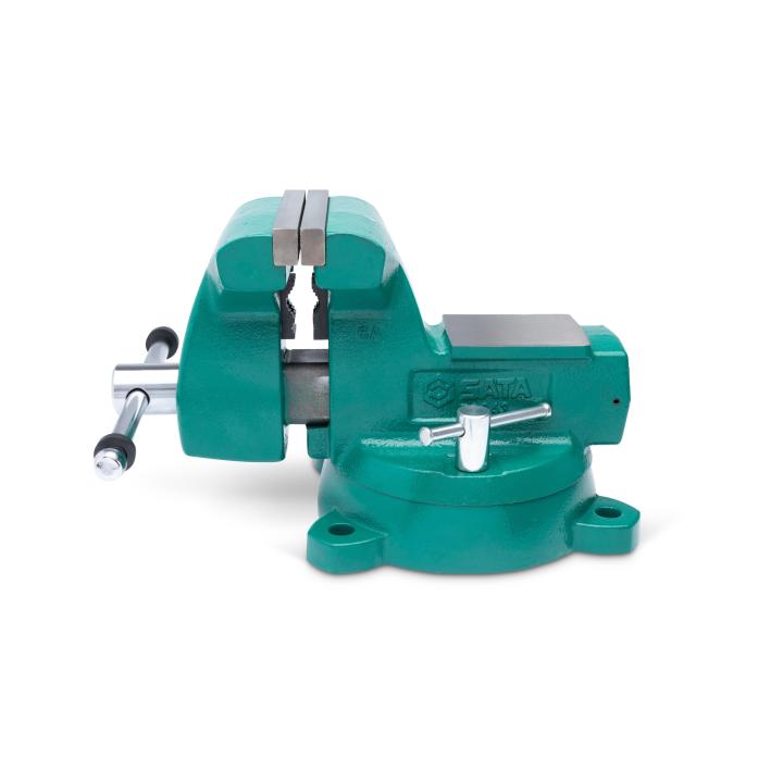 Mechanics Bench Vise 6